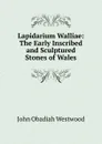 Lapidarium Walliae: The Early Inscribed and Sculptured Stones of Wales - J.O. Westwood