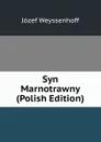 Syn Marnotrawny (Polish Edition) - Józef Weyssenhoff