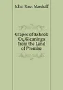 Grapes of Eshcol: Or, Gleanings from the Land of Promise - John R. Macduff