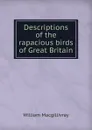 Descriptions of the rapacious birds of Great Britain - William Macgillivray