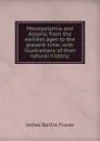 Mesopotamia and Assyria, from the earliest ages to the present time; with illustrations of their natural history; - James Baillie Fraser