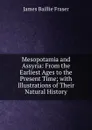 Mesopotamia and Assyria: From the Earliest Ages to the Present Time; with Illustrations of Their Natural History - James Baillie Fraser