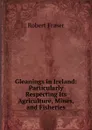 Gleanings in Ireland: Particularly Respecting Its Agriculture, Mines, and Fisheries - Robert Fraser