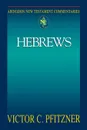 Abingdon New Testament Commentary - Hebrews - Vic Pfitzner, Victor C. Pfitzner, V. C. Pfitzner