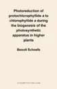 Photoreduction of Protochlorophyllide A to Chlorophyllide a During the Biogenesis of the Photosynthetic Apparatus in Higher Plants - Benoit Schoefs