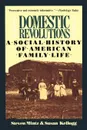 Domestic Revolutions. A Social History of American Family Life - Steven Mintz, Susan Kellogg