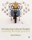 Introducing Cultural Studies - David Walton