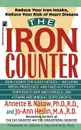 The Iron Counter - Annette B. Natow, Natow Annette