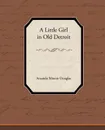 A Little Girl in Old Detroit - Amanda Minnie Douglas