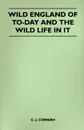 Wild England of To-Day and the Wild Life in It - C. J. Cornish