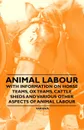 Animal Labour - With Information on Horse Teams, Ox Teams, Cattle Sheds and Various Other Aspects of Animal Labour - Various Authors