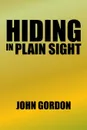 Hiding in Plain Sight - John Gordon