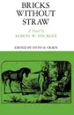 Bricks Without Straw - Albion W. Tourgee