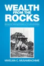 Wealth from the Rocks. Mining and Smelting of Metals in  Pre-colonial Zambia - Mwelwa  C. Musambachime