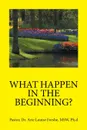 WHAT HAPPEN IN THE BEGINNING? - Ph.d MSW Dr. Arie Louise Forshe