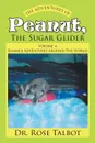 The Adventures Of Peanut, The Sugar Glider. Volume 4: Summer Adventures Around The World - Dr. Rose Talbot