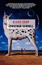 Glass Soup - Jonathan Carroll