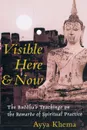 Visible Here and Now. The Buddhist Teachings on the Rewards of Spiritual Practice - Ayya Khema, Peter Heinegg