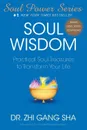 SOUL WISDOM - GANG SHA ZHI