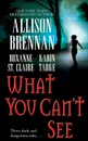 What You Can't See - Allison Brennan, Karin Tabke, Roxanne St Claire