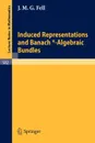Induced Representations and Banach*-Algebraic Bundles - J. M. G. Fell