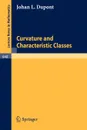 Curvature and Characteristic Classes - J. L. DuPont