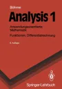 Analysis 1. Anwendungsorientierte Mathematik. Funktionen, Differentialrechnung - Gert Bhme, Gert Bahme