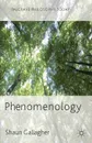 Phenomenology - Shaun Gallagher