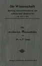 Die Psychischen Massmethoden - Gottlob Friedrich Lipps