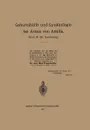 Geburtshulfe Und Gynakologie Bei Aetios Von Amida. Buch 16 Der Sammlung - Na Aetius, Max Wegscheider