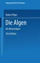 Die Algen. Dritte Abteilung. Die Meeresalgen - Robert Pilger, Gustav Lindau