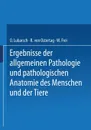 Ergebnisse Der Allgemeinen Pathologie Und Pathologischen Anatomie Des Menschen Und Der Tiere - Oscar Lubarsch, R. Von Ostertag, W. Frei