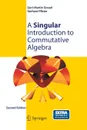 A Singular Introduction to Commutative Algebra - Gert-Martin Greuel