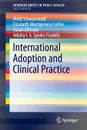 International Adoption and Clinical Practice - Heidi Schwarzwald, Elizabeth Montgomery Collins, Susan Gillespie