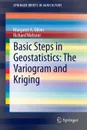 Basic Steps in Geostatistics. The Variogram and Kriging - Margaret A. Oliver, Richard Webster