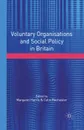 Voluntary Organisations and Social Policy in Britain. Perspectives on Change and Choice - Margaret Harris, Colin Rochester