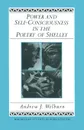 Power and Self-Consciousness in the Poetry of Shelley - Andrew J Welburn, Thomas Heinzen