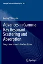 Advances in Gamma Ray Resonant Scattering and Absorption. Long-Lived Isomeric Nuclear States - Andrey V. Davydov