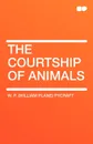 The Courtship of Animals - W. P. Pycraft, William Plane