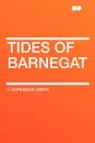Tides of Barnegat - F. Hopkinson Smith