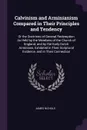 Calvinism and Arminianism Compared in Their Principles and Tendency. Or the Doctrines of General Redemption As Held by the Members of the Church of England, and by the Early Dutch Arminians, Exhibited in Their Scriptural Evidence, and in Their Con... - James Nichols