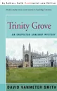 Trinity Grove - David Vanmeter Smith