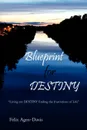 Blueprint for Destiny - Felix Agen-Davis