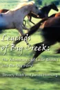 Legends of Big Creek. : The Adventures of Little Brooks and the Sky Pony - Beverly Robb, James Hornung