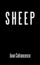 Sheep - Joan Cofrancesco