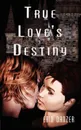 True Love's Destiny - Erin Danzer