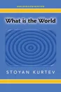 What Is the World - Stoyan Kurtev