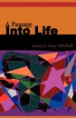 A Passage Into Life - Laura J. Gray Mitchell