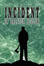 Incident in Braxton Hollow - J. N. Sadler