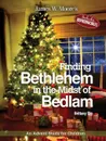 FINDING BETHLEHEM IN THE MIDST OF BEDLAM -CHILDREN ADVENT STUDY - James W. Moore, Brittany Sky